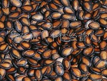 热门大瓜子,零食界的明星产品