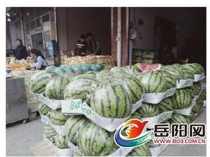 吃瓜 有点料官网,探索“有点料”官网的精彩内容